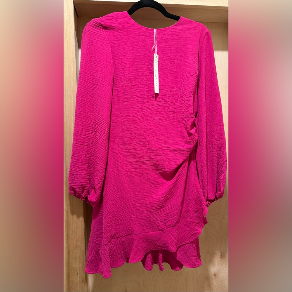 Bright Fuchsia Textured Long Sleeve Dress Size Small NEW